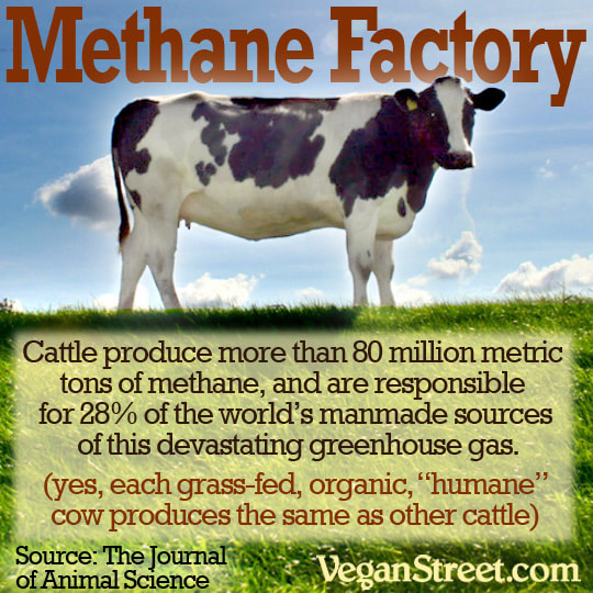 methanefactory_orig.jpg